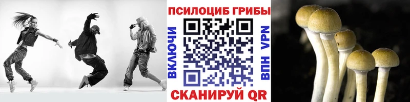 Галлюциногенные грибы Cubensis  omg вход  Красноуфимск  купить наркотик 