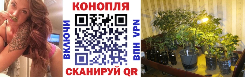 МАРИХУАНА ГИДРОПОН  магазин продажи наркотиков  Красноуфимск 